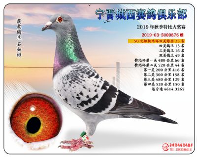 城西50元25