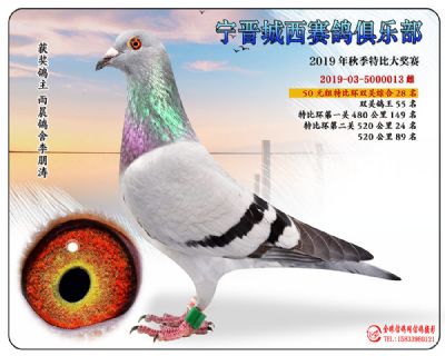 城西50元28