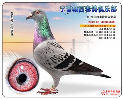 城西50元30