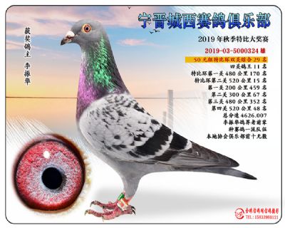 城西50元29