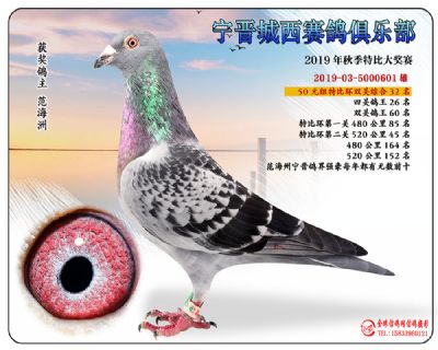 城西50元32