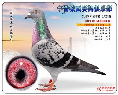 城西50元34
