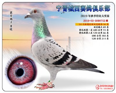 城西50元36
