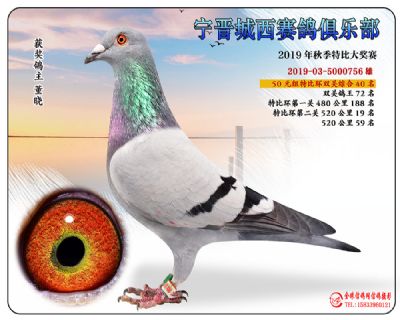 城西50元40