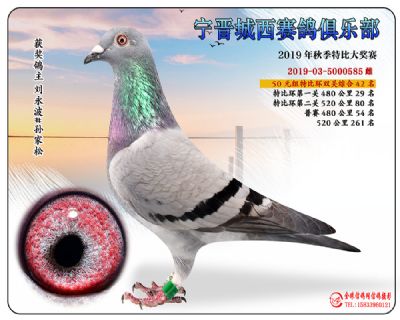 城西50元42