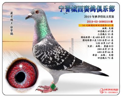 城西50元43