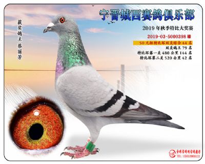 城西50元44