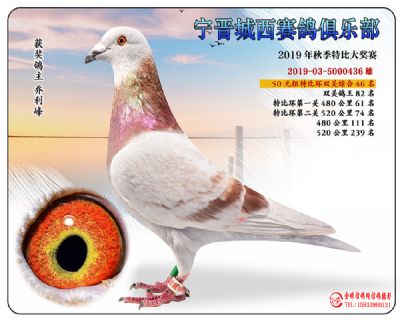 城西50元46