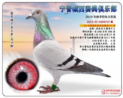 城西50元47
