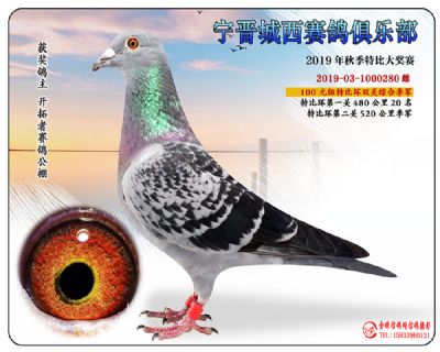 城西100元季军