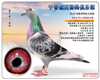 城西100元亚军