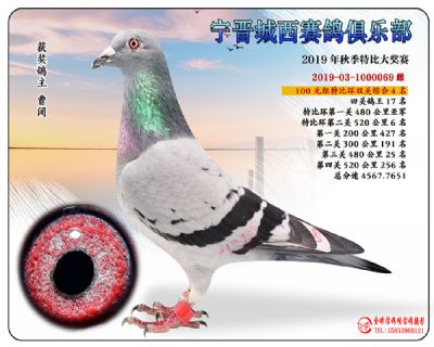 城西100元殿军