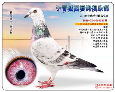 城西100元5