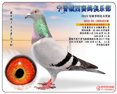 城西100元7
