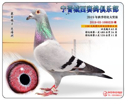 城西100元8