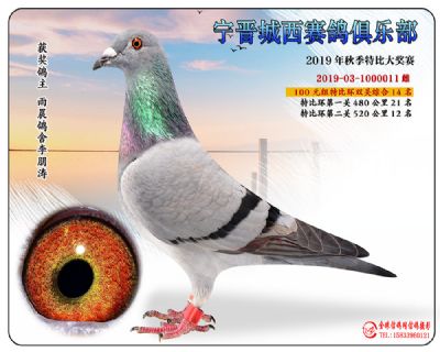 城西100元14