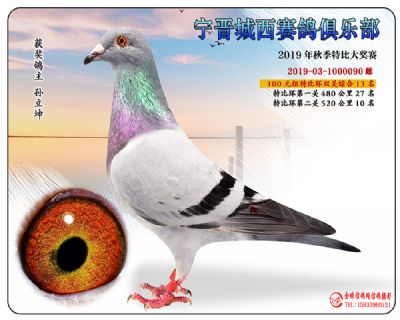 城西100元13