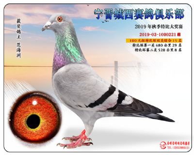 城西100元15