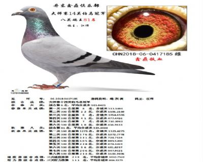 丹东鑫鼎大师赛14关伯马冠军