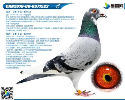 吉林克斯-格斗小子522