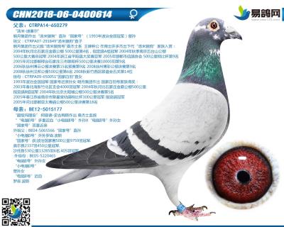 羅森波斯-國家狼狗614
