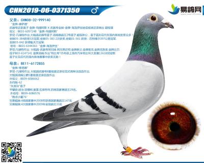 凡瑞特-金牌武器350