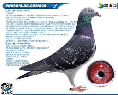 佛卡門-超級潘特698