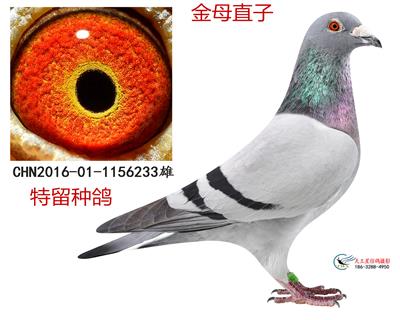 金母直子
