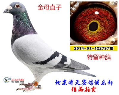 金母直子