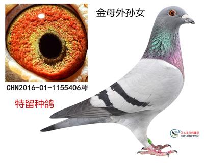 金母外孫女