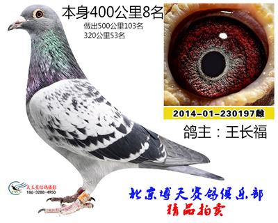 400公里8名