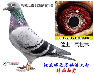 高松林004