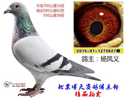 700公里16名