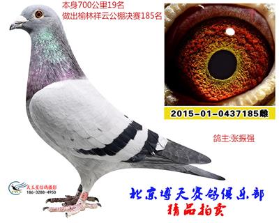 700公里19名