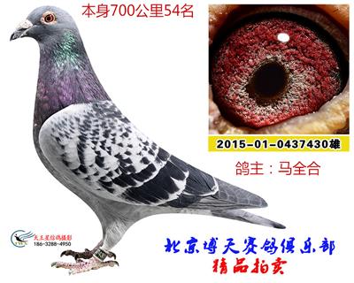 700公里54名
