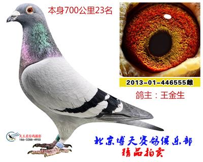 700公里23名