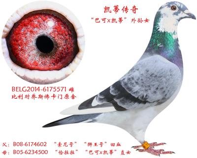 喬斯佛卡門原舍
