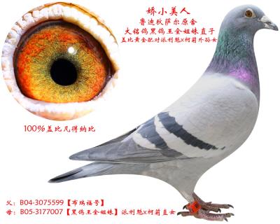 魯迪狄薩爾原舍