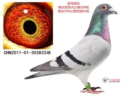 金母直孫