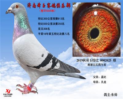 特比500公里決賽250名