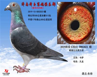 特比環500公里決賽312名