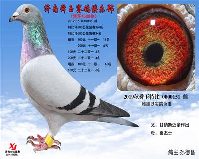 特比環500公里決賽34名