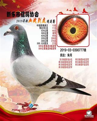 决战到底精英-9冠王