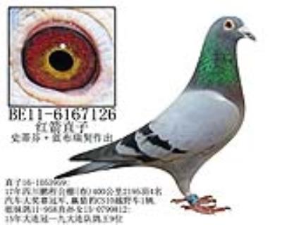 史蒂芬·蓝布瑞契原舍-1