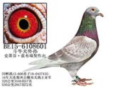 史蒂芬·蓝布瑞契原舍-2