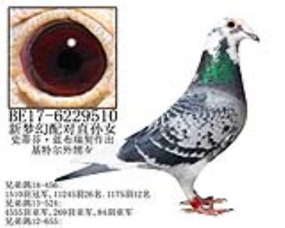 史蒂芬·蓝布瑞契原舍-4