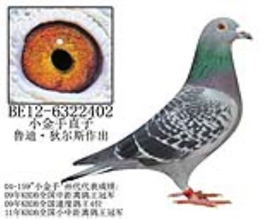 鲁迪·狄尔斯原舍-7