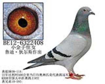 鲁迪·狄尔斯原舍-8