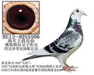 佛斯特拉原舍-9