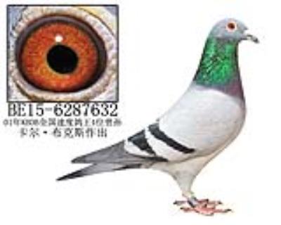 卡尔·布克斯原舍-10